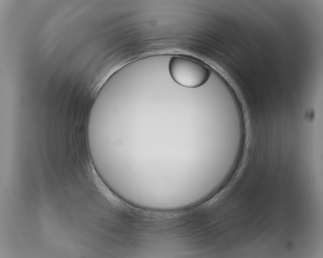 X0000111021289200906191221