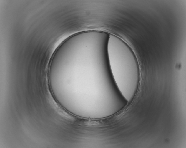 X0000111021291200906191221