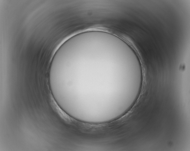 X0000111021292200906191221