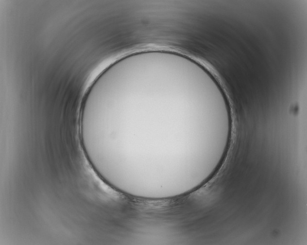 X0000111021294200906191221