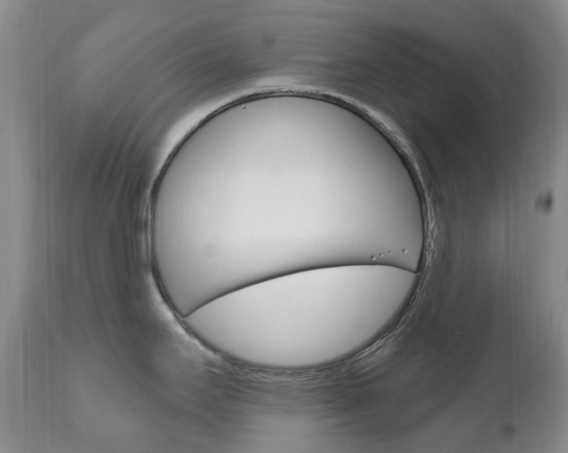 X0000111021295200906191221