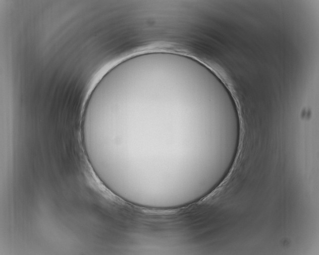 X0000111021296200906191221