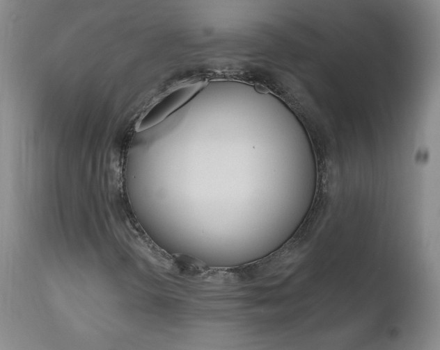 X0000111021298200906191221
