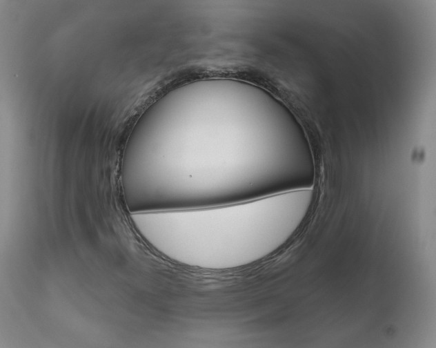 X0000111021300200906191221