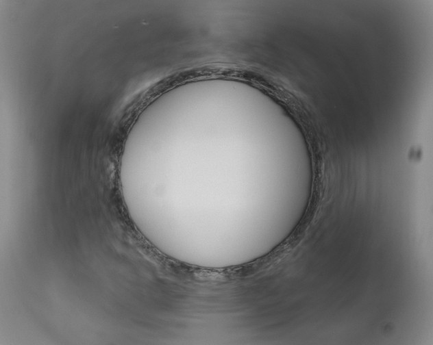 X0000111021302200906191221