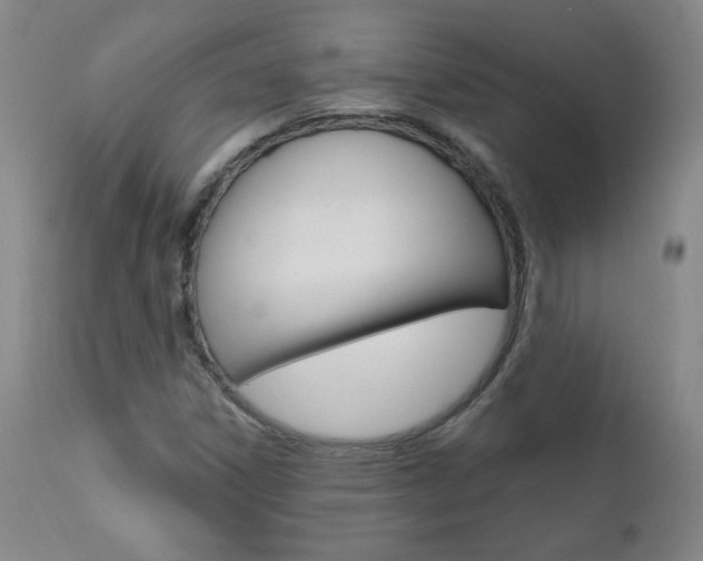 X0000111021306200906191221