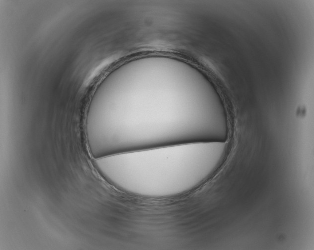 X0000111021307200906191221