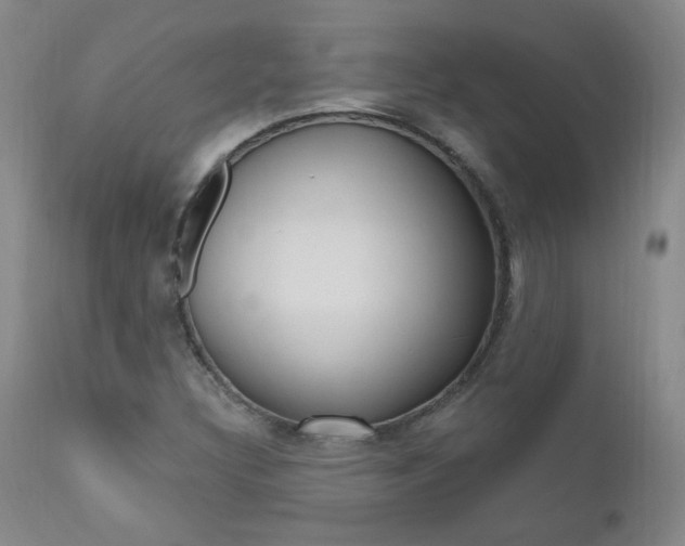 X0000111021308200906191221