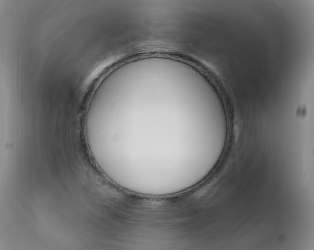 X0000111021309200906191221
