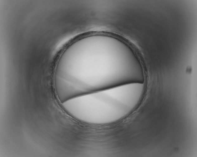 X0000111021311200906191221