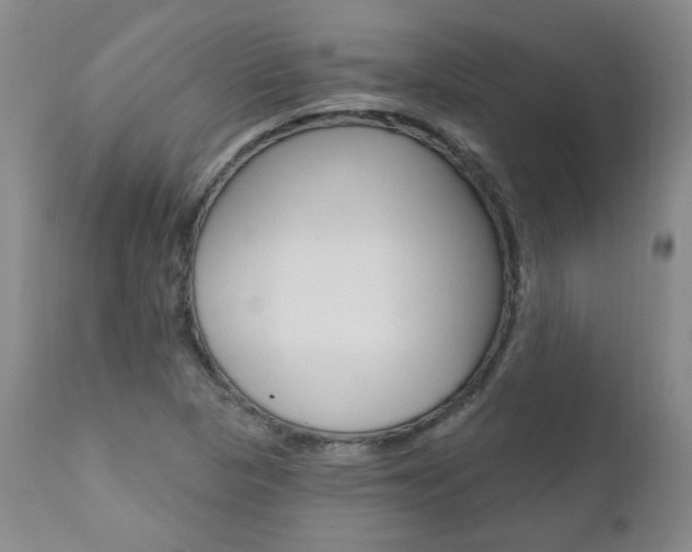 X0000111021313200906191221