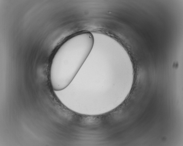 X0000111021314200906191221