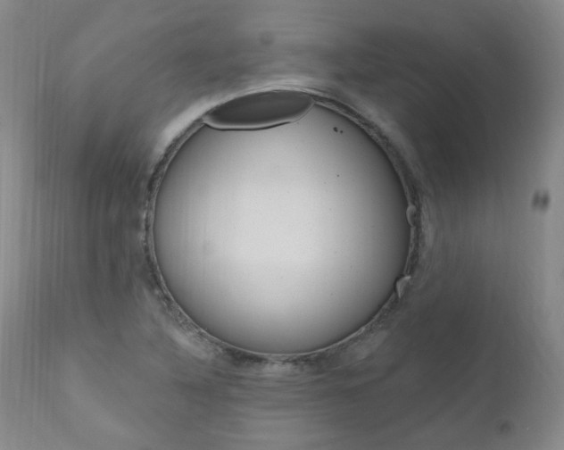 X0000111021316200906191221