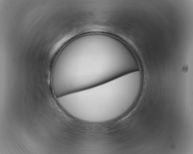 X0000111021317200906191221