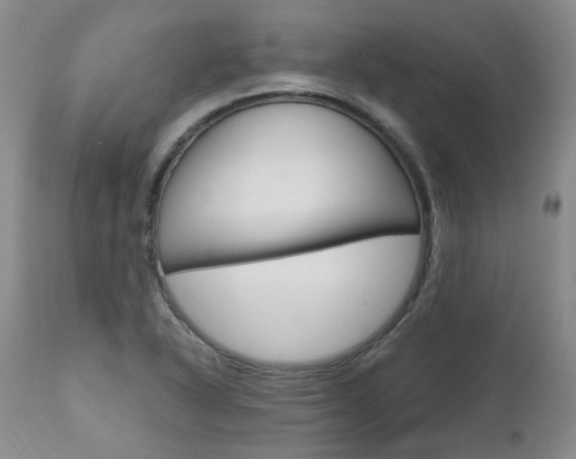 X0000111021318200906191221