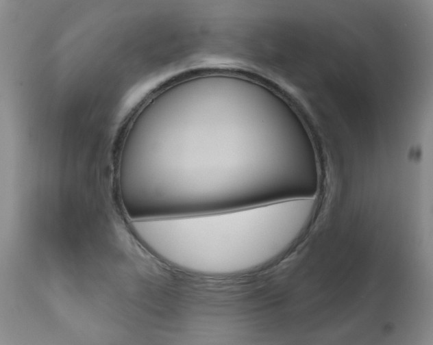X0000111021319200906191221