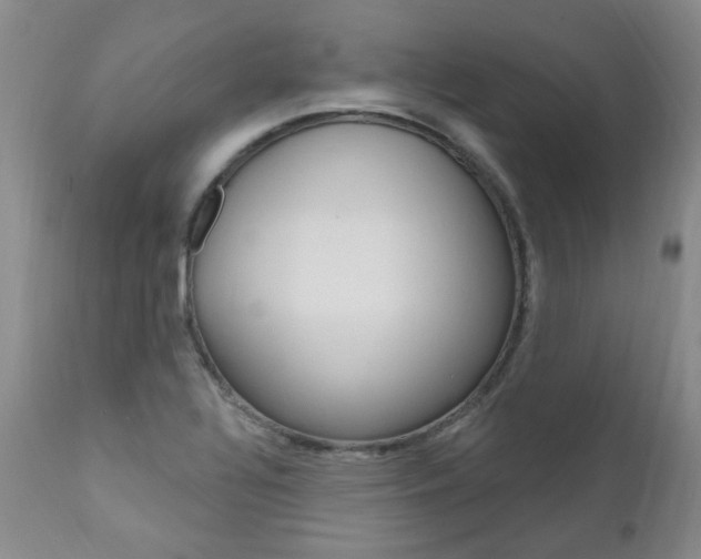 X0000111021320200906191221