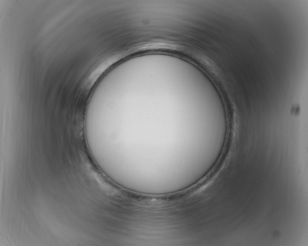 X0000111021321200906191221