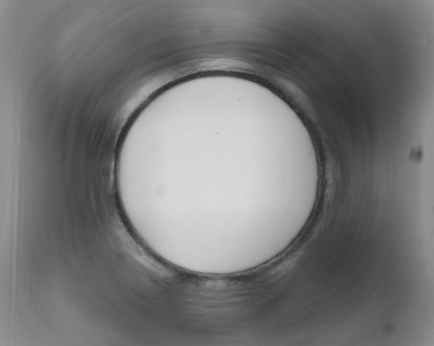 X0000111021322200906191221