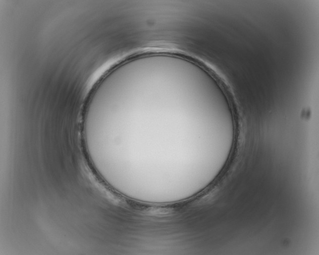 X0000111021325200906191221