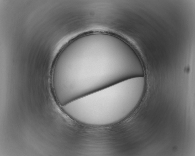 X0000111021327200906191221
