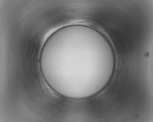 X0000111021328200906191221
