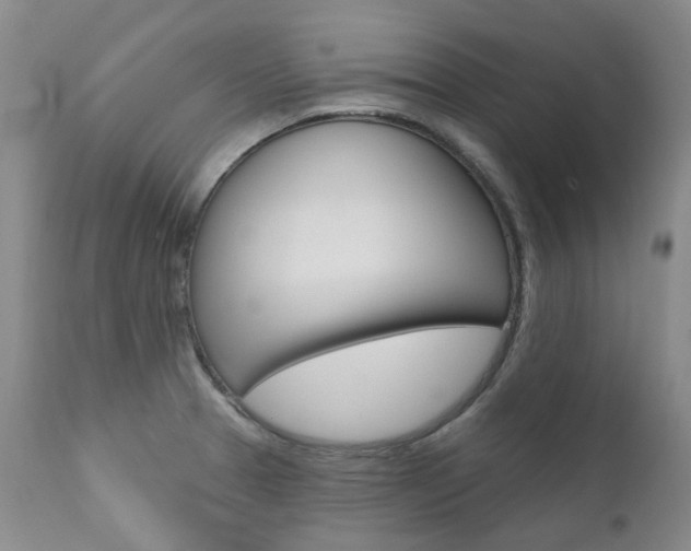 X0000111021329200906191221