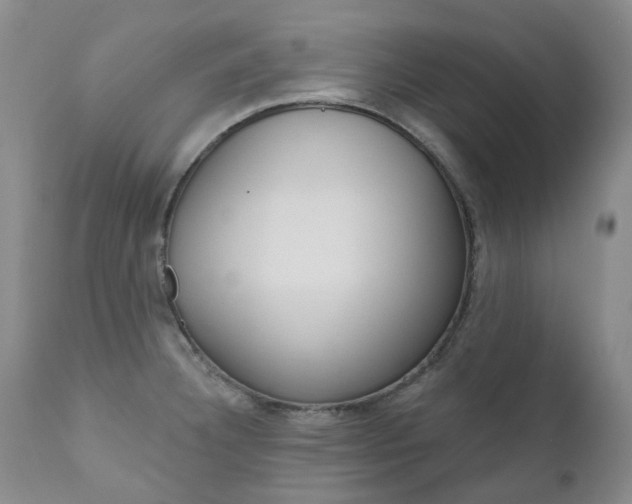 X0000111021332200906191221