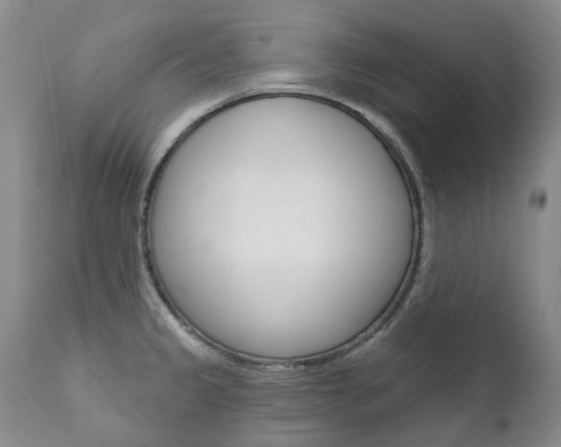 X0000111021333200906191221