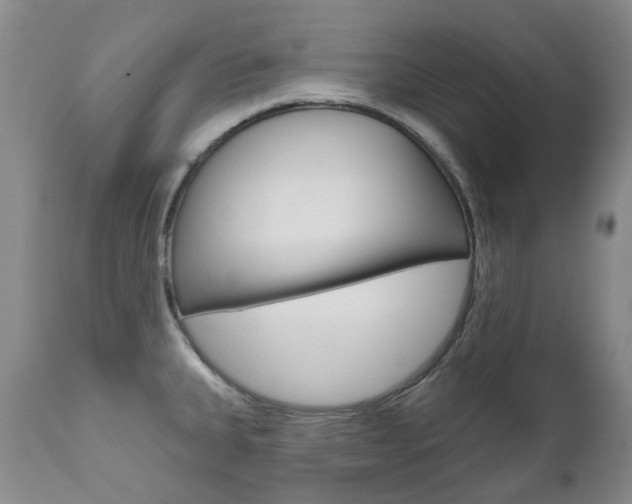 X0000111021335200906191221