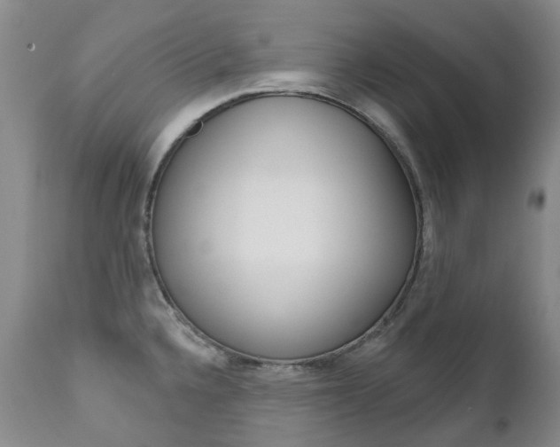 X0000111021336200906191221