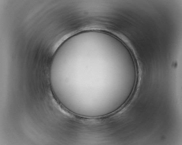 X0000111021337200906191221