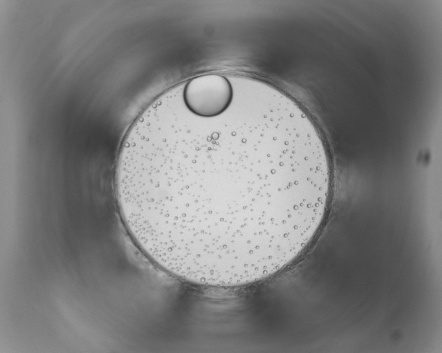 X0000111021338200906191221