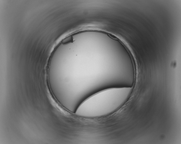 X0000111021341200906191221
