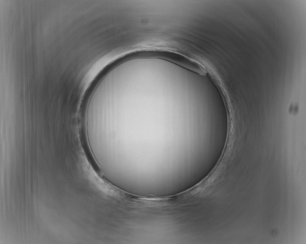 X0000111021344200906191221