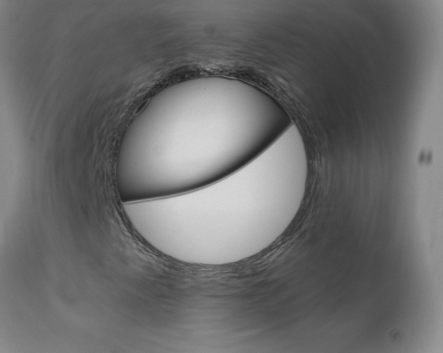 X0000111021345200906191221
