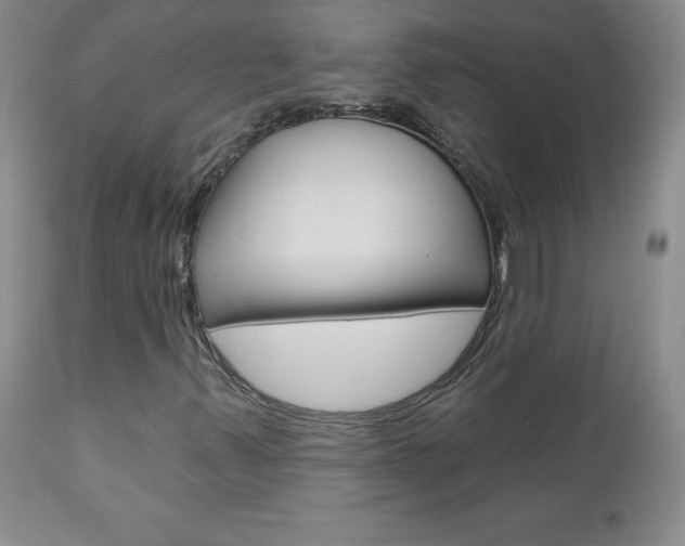 X0000111021347200906191221