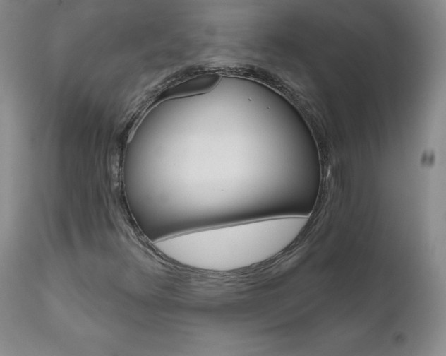X0000111021348200906191221