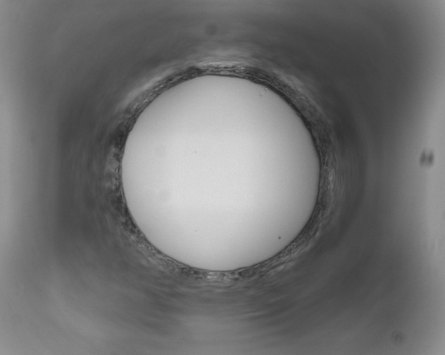 X0000111021350200906191221