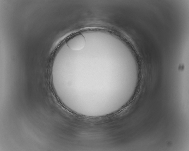 X0000111021352200906191221