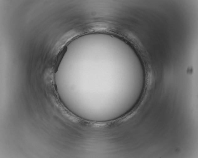 X0000111021353200906191221