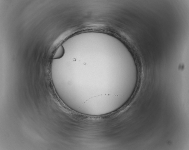 X0000111021354200906191221