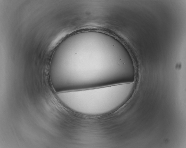 X0000111021355200906191221