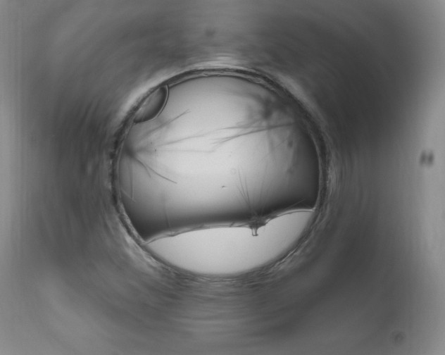 X0000111021356200906191221