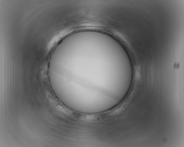 X0000111021357200906191221