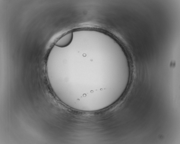 X0000111021358200906191221