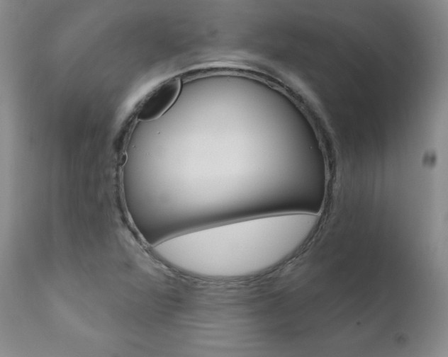 X0000111021360200906191220