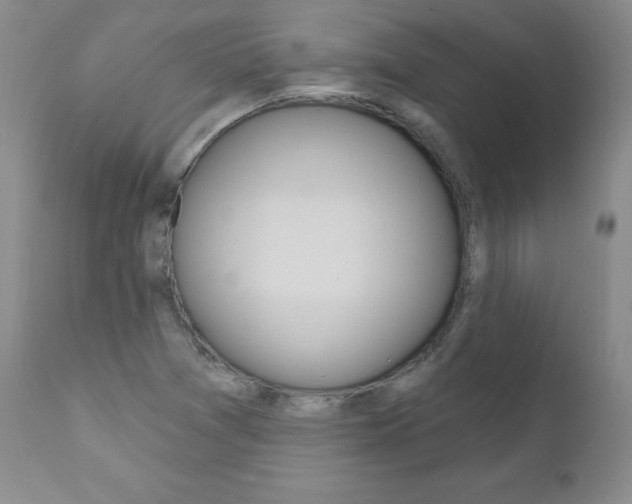 X0000111021361200906191220