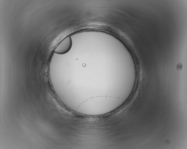 X0000111021362200906191220