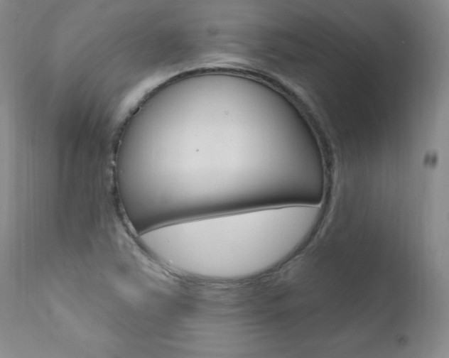 X0000111021363200906191220